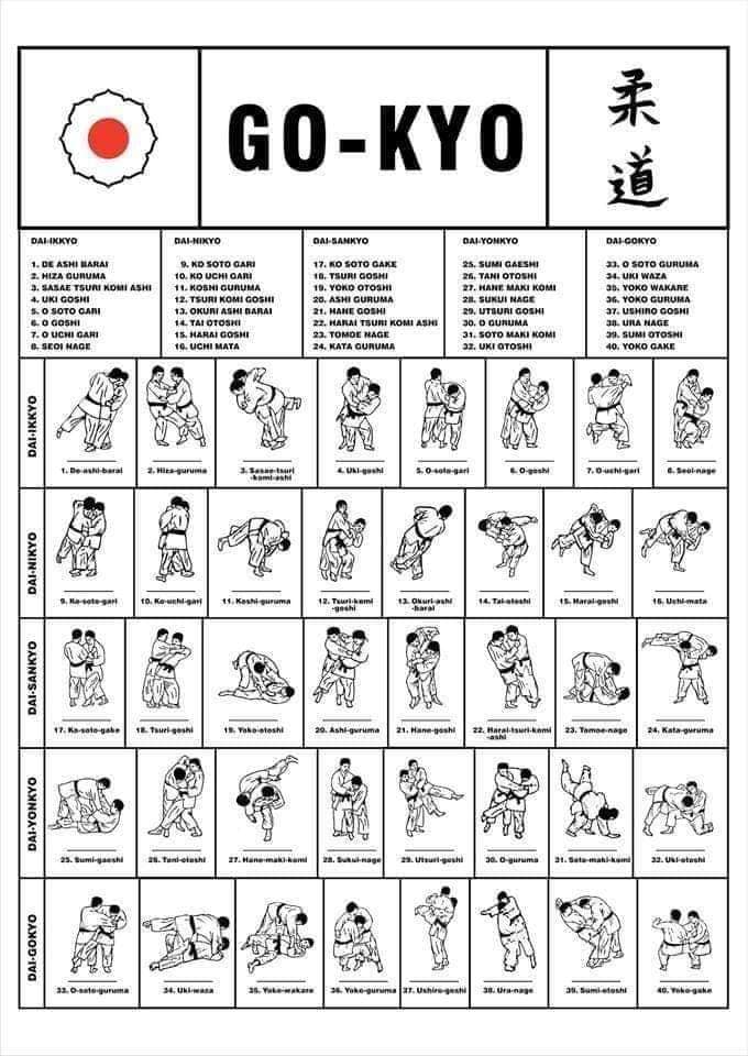 imagen del tema de judo