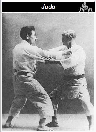 imagen del tema de judo