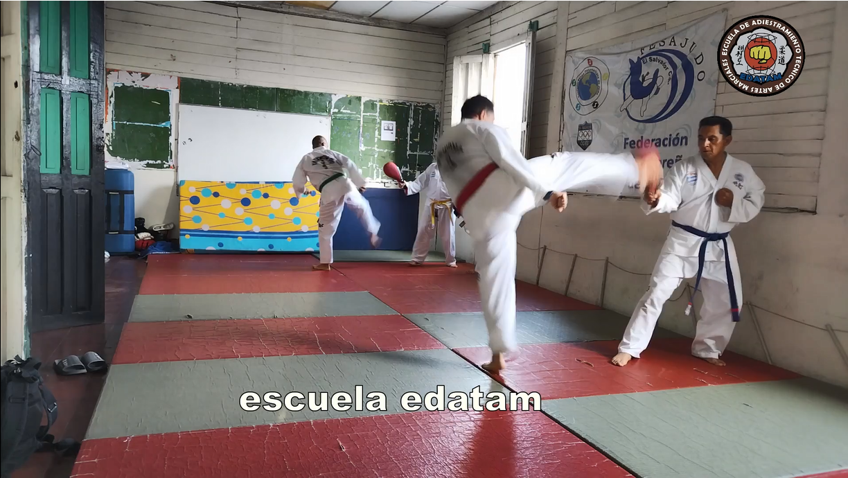 contenido de enseñanza