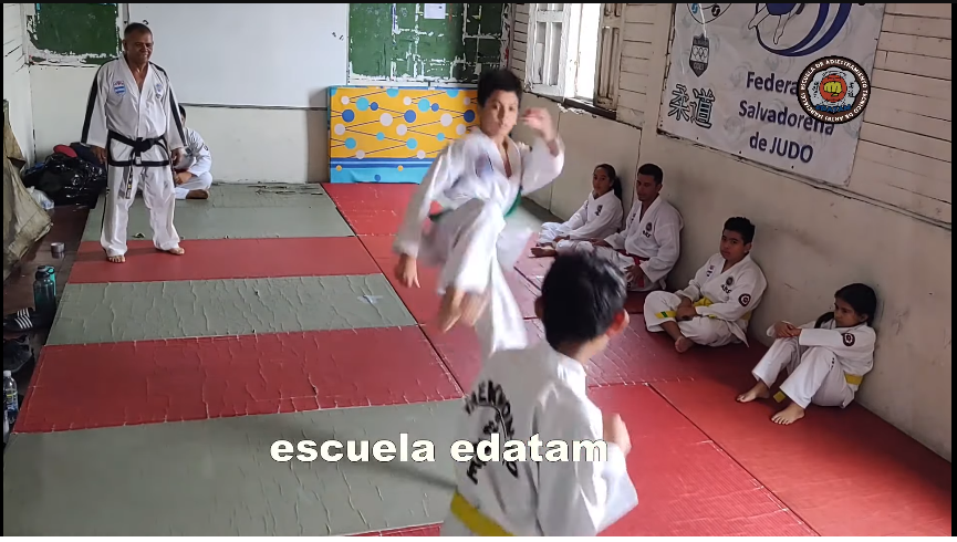 contenido de enseñanza