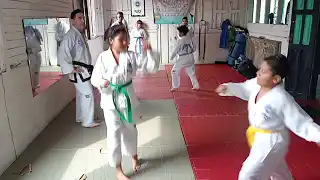 contenido de enseñanza