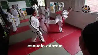 contenido de enseñanza