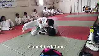 contenido de enseñanza