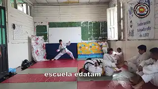 contenido de enseñanza