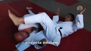 contenido de enseñanza