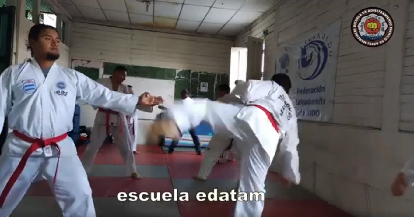 contenido de enseñanza