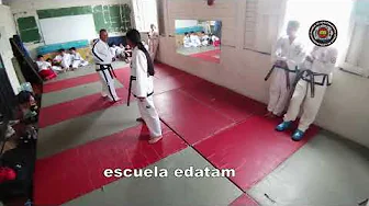 contenido de enseñanza