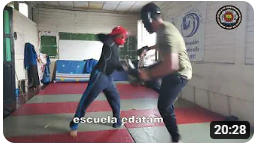 contenido de enseñanza