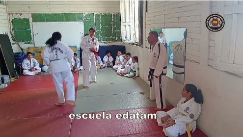 contenido de enseñanza