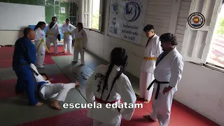 contenido de enseñanza