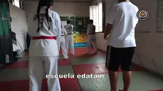 contenido de enseñanza