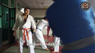 contenido de enseñanza