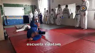 contenido de enseñanza