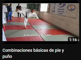 contenido de enseñanza