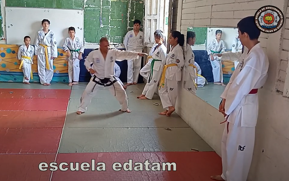 contenido de enseñanza