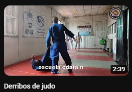 contenido de enseñanza