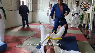 contenido de enseñanza