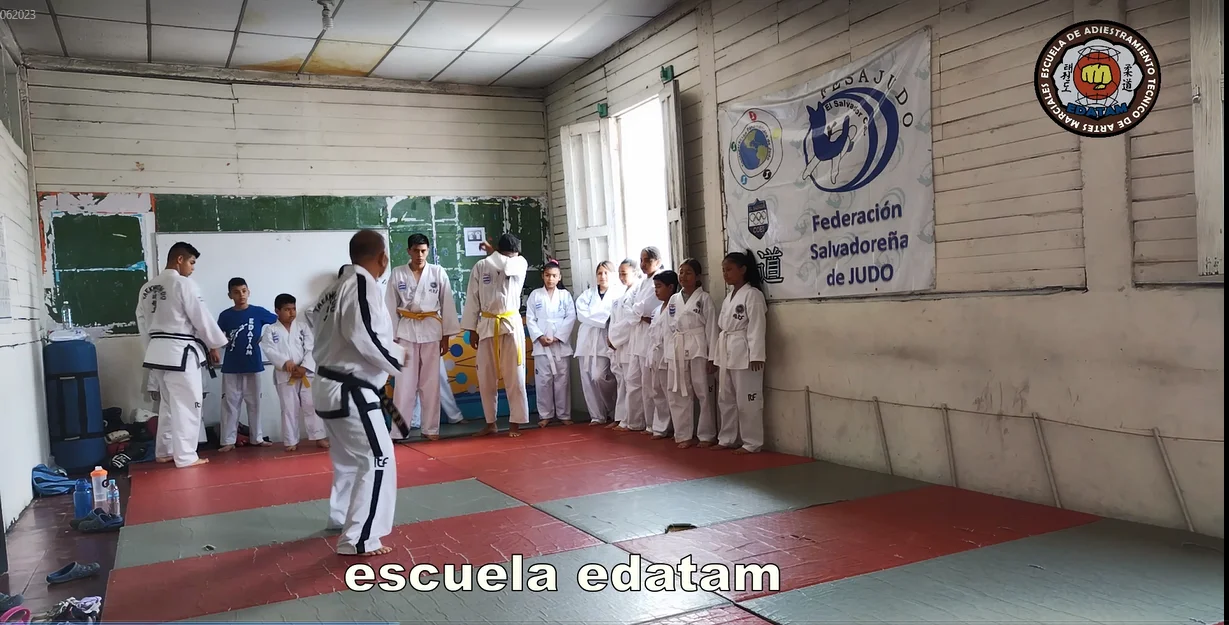 contenido de enseñanza