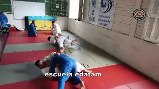 contenido de enseñanza