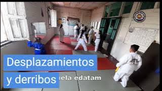 contenido de enseñanza