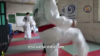 contenido de enseñanza