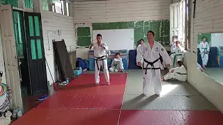 tema de taekwondo