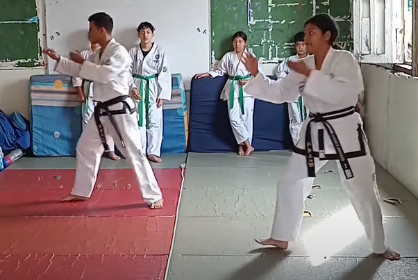 tema de taekwondo