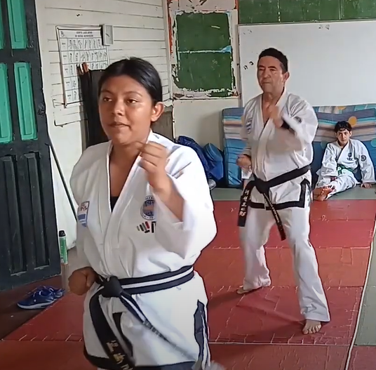tema de taekwondo